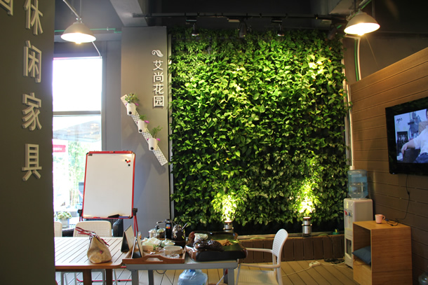 艾尚花园室内绿墙