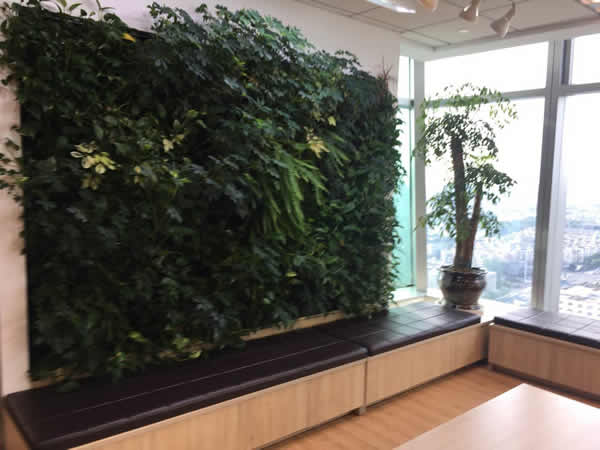创新科技植物墙2