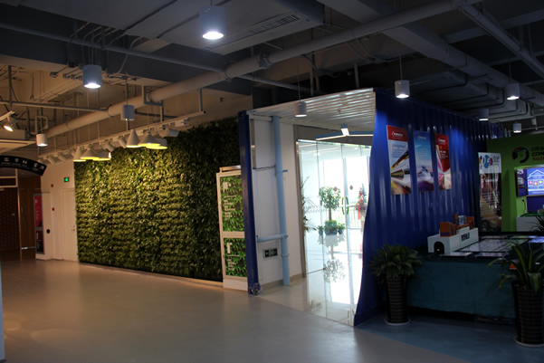 东坊创智坊室内植物墙