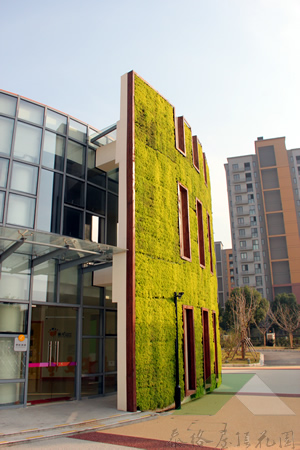 “翡翠幼儿园垂直绿化”