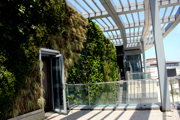 虎丘婚纱城垂直绿化幕墙