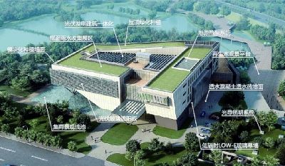 “在星湾学校屋顶花园上"偷菜"的蜗牛