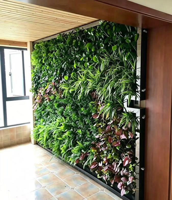 蝴蝶湾阳台绿植墙