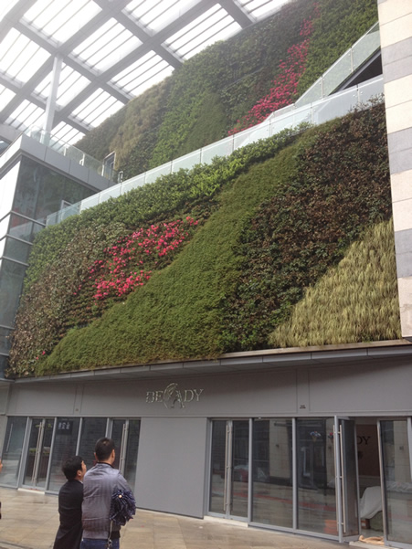 “虎丘婚纱城垂直花园”hspace="8"