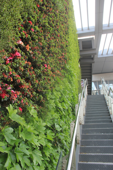 “虎丘婚纱城垂直花园”hspace="8"