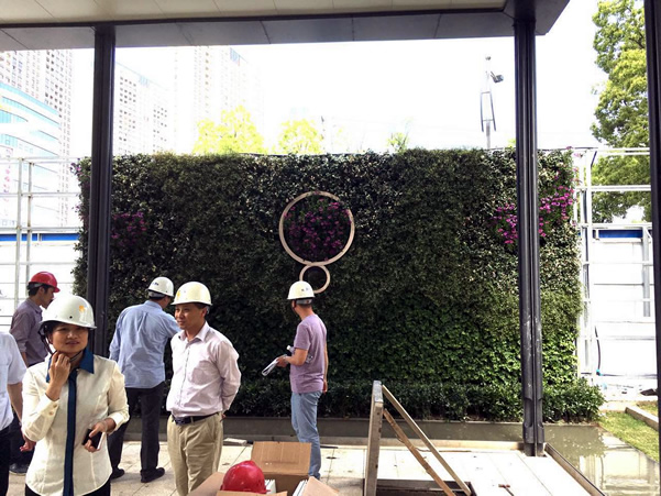 昆山金鹰天地广场售楼处植物墙