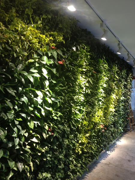 江阴联华商厦室内植物墙1