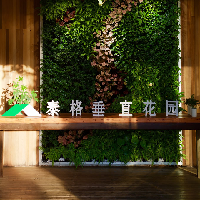 泰格垂直花园logo墙