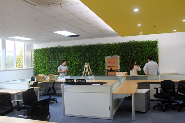 欧朗科技室内绿墙1