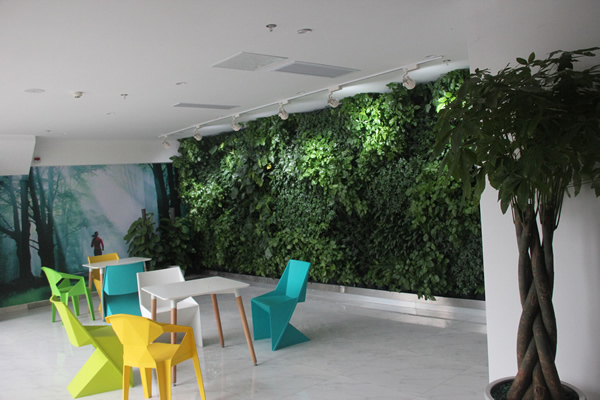 宝力豪城南文体中心店休息区植物墙