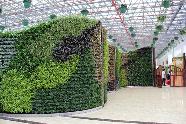 曲面植物墙施工后，前面图片