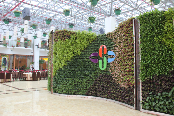 曲面植物墙施工后，前面图片