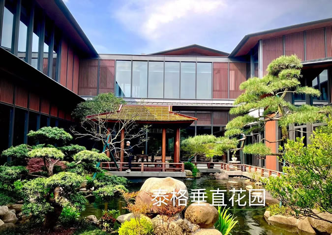 苏州荣记餐厅庭院绿化