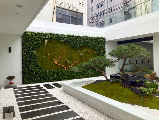 上海稷安会所真苔藓植物墙小院1