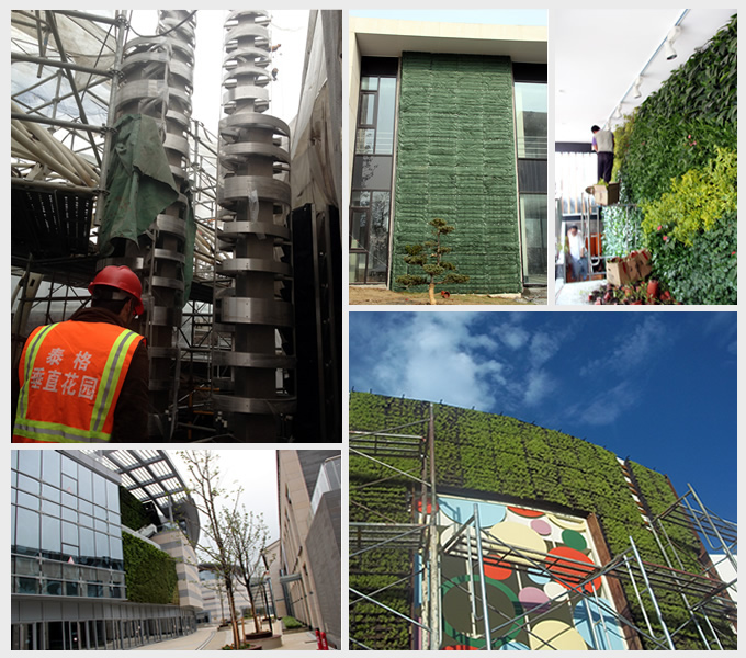 垂直绿化施工过程