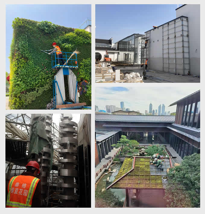 垂直绿化施工过程
