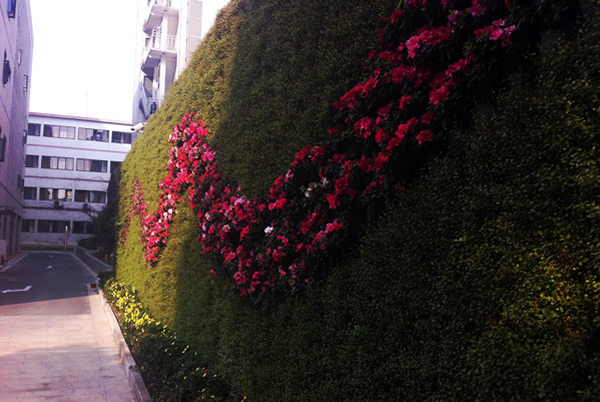 苏州市立医院垂直绿化墙1