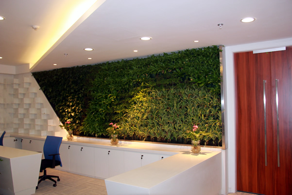 苏宁（上海）总部室内绿墙1