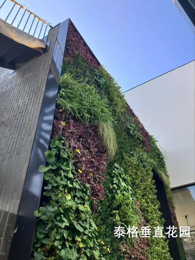 音昱水中天下沉庭院植物墙