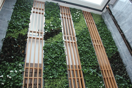 天虹品上商业街室内植物墙