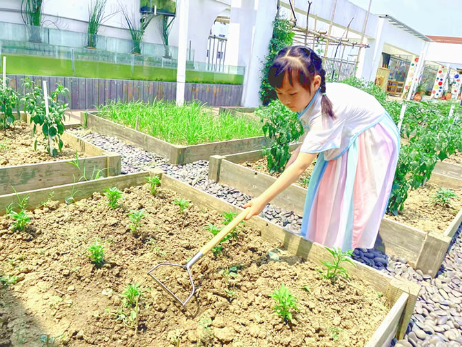 植物叶片颜色、大小建设的室外垂直绿化3个月后的效果图