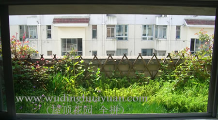 苏州工业园区新城花园阳台绿化1