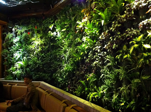 苏州圆融广场室内垂直绿墙