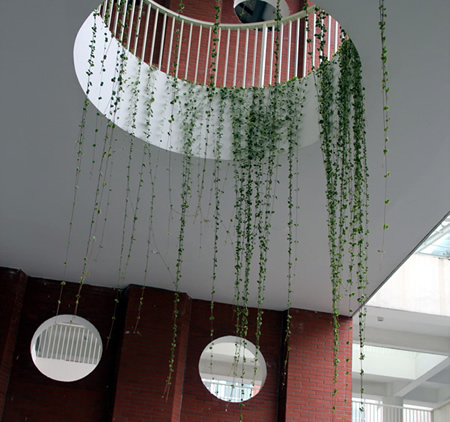 苏州工业园区星湾学校屋顶绿化2