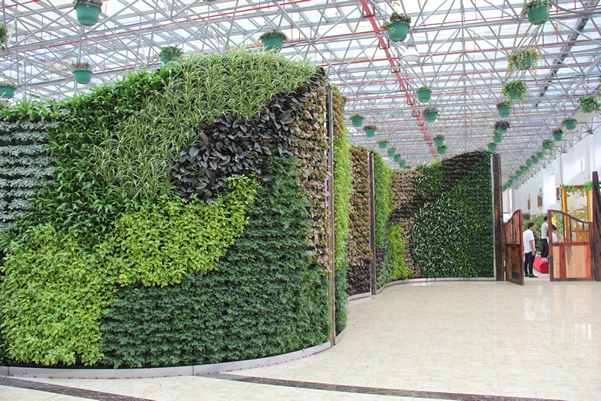 常州夏溪尚花坊餐厅绿墙1