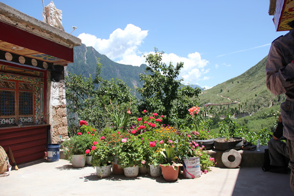 虎丘婚纱城垂直绿化幕墙