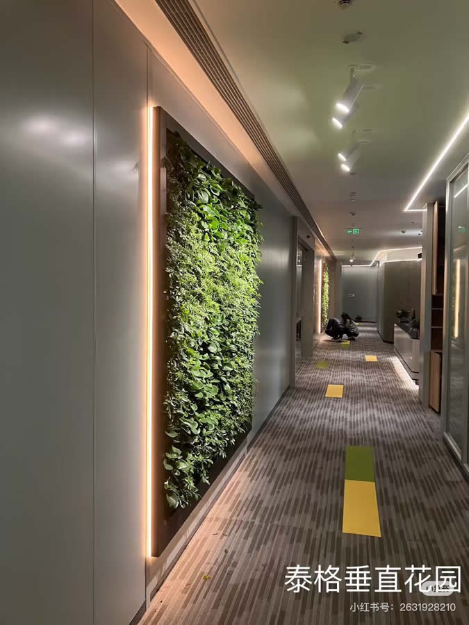 永旺办公室植物墙