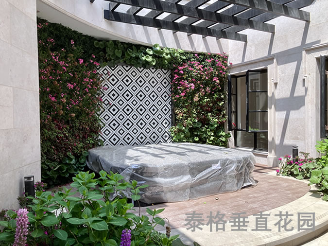 御园别墅下沉庭院垂直绿化工程