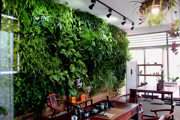 泰格总部园室内绿墙